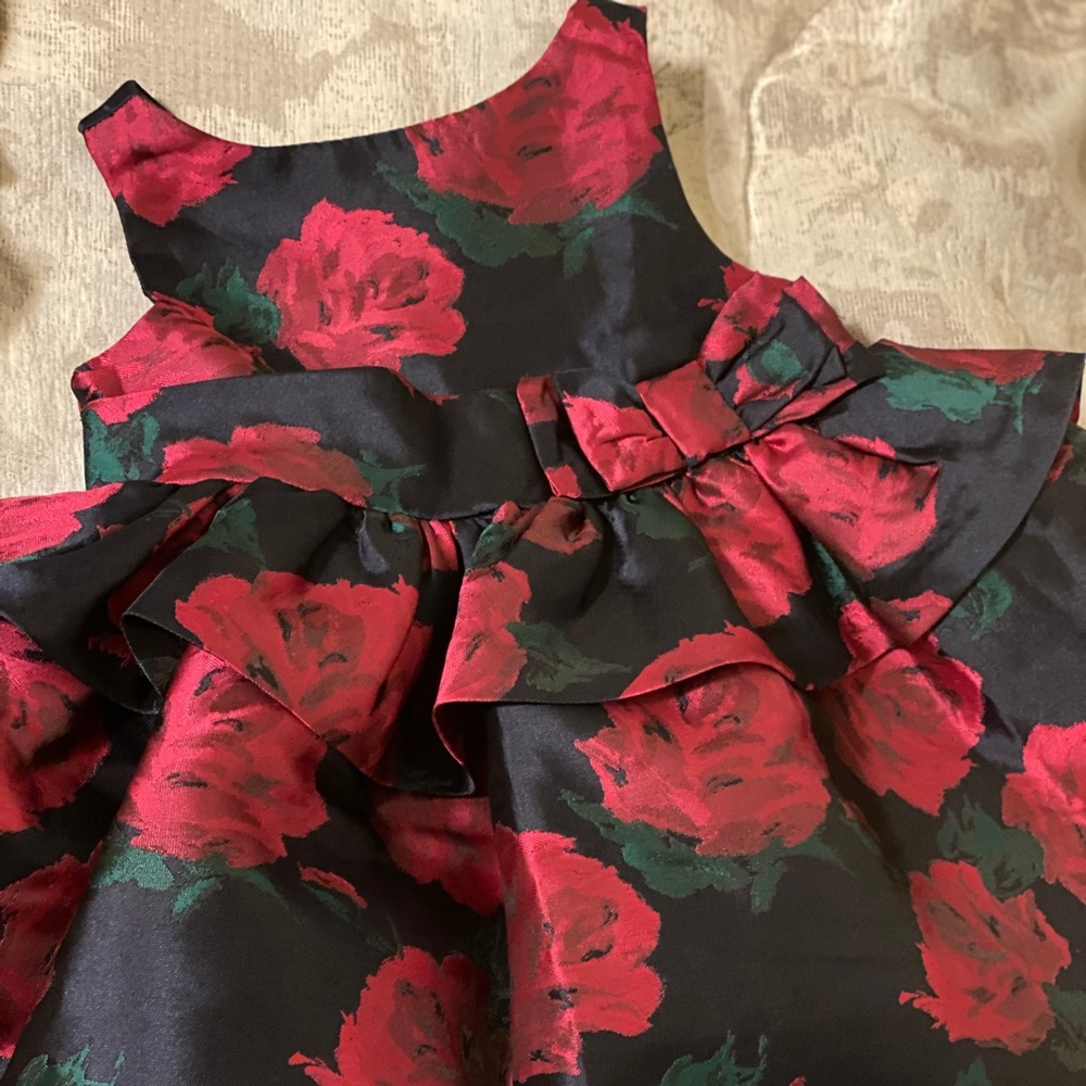 Janie & Jack 6-12 months EUC dress